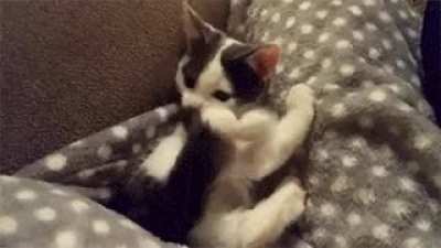 Gotcha!