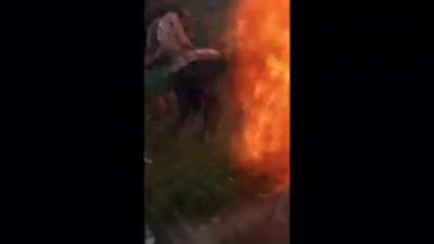 Pouring cinnamon on someone... apparently this is a tradition in Denmark