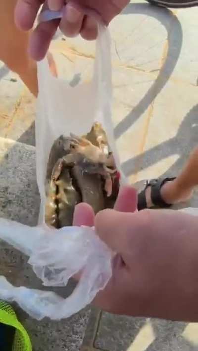 这就是中国人之出门不捡就算丢