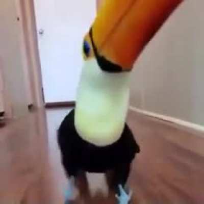 &ccedil;ok tattlı
