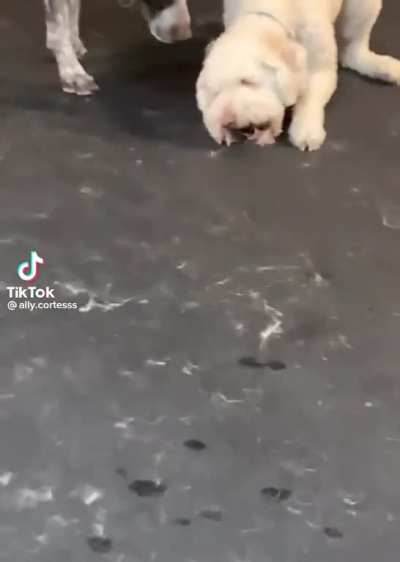 Eeeeeaaaaggghhhh