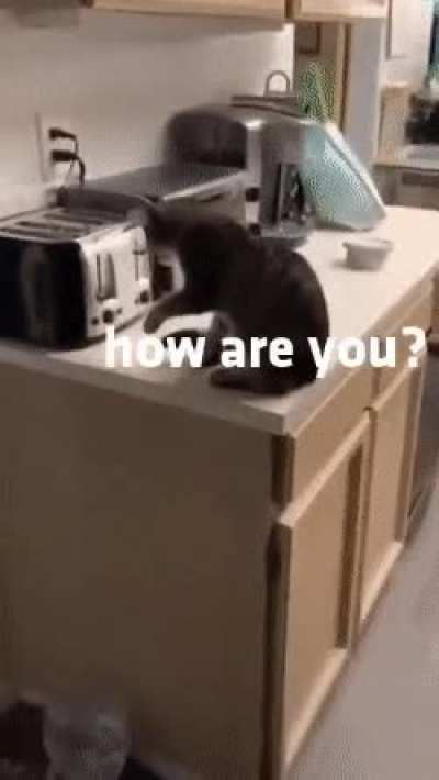 A simple "no" would be better