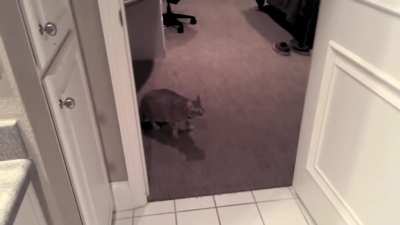 Let me out