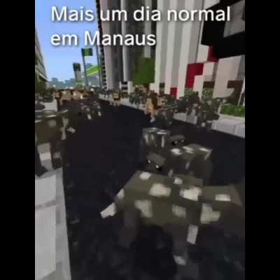 i am go to Brazil