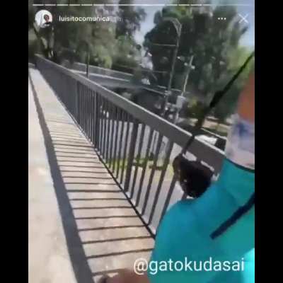 Luisito funado