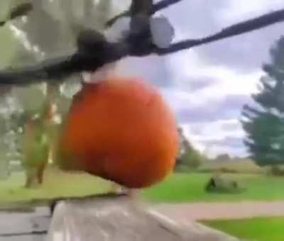 Ak-47 vs Pumpkin 