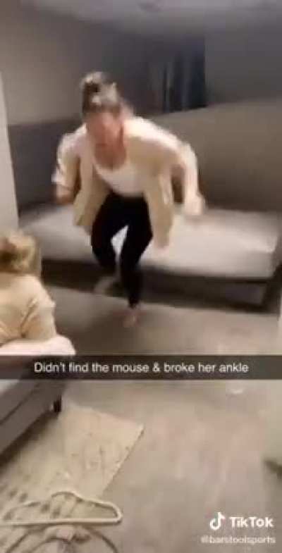 Trying to find a mouse