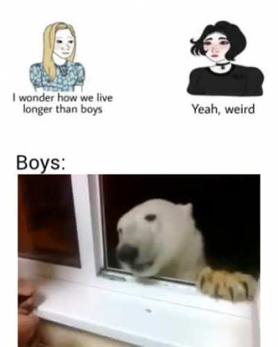 Who's a good boy