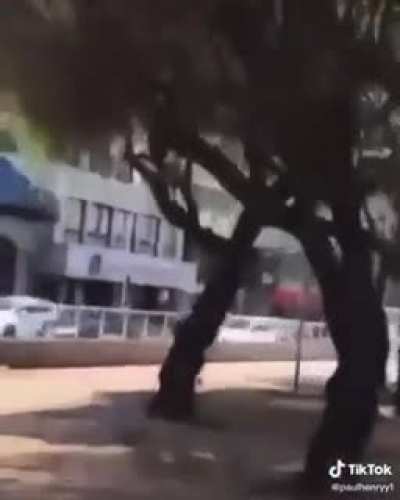 Arrasta pra cima