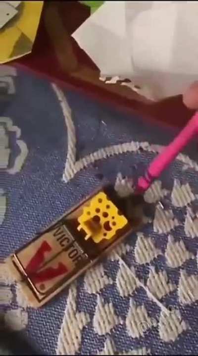 Rat trap