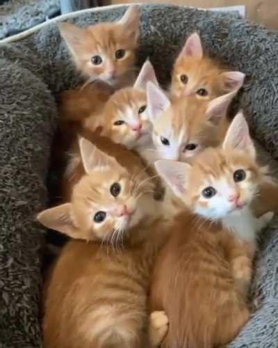 I&rsquo;d love to know what goes through their heads 😀
