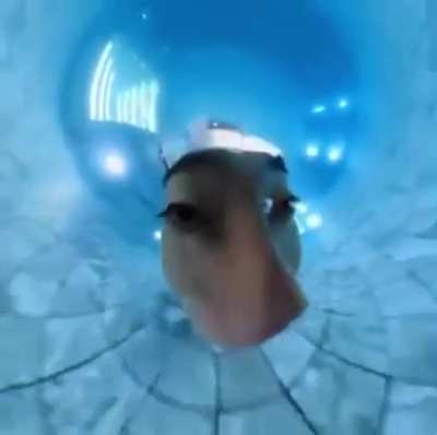 POV