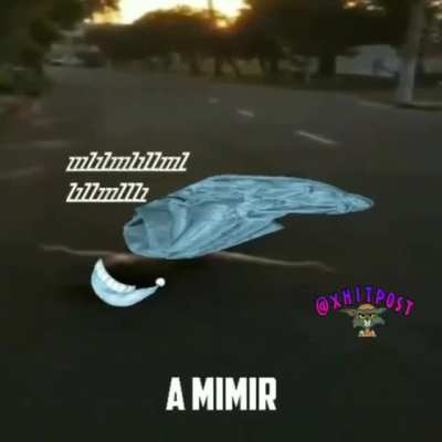 MORRAM NOVOS VIWERS
