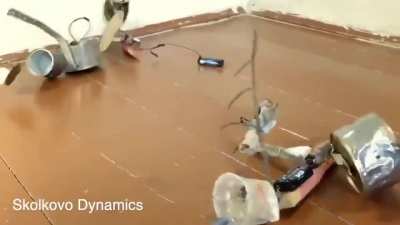 Skolkovo Dynamics