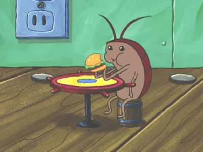 How do you do fellow roaches?