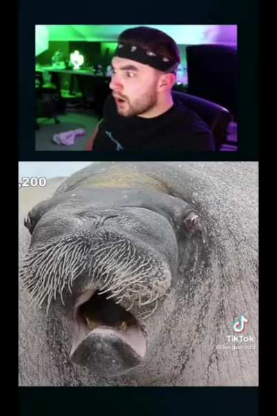 Hope this wasn't posted before