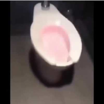 double flusher