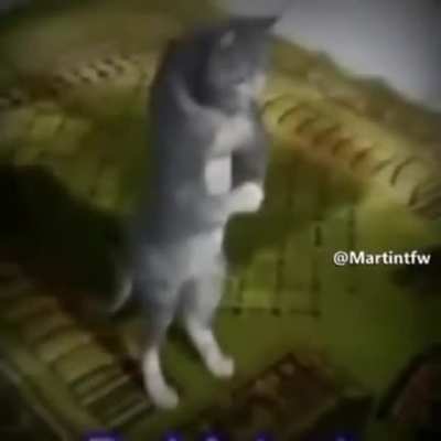 Buenas noches señorita (muy buenas tet4s por cierto)