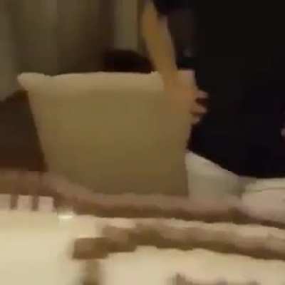 Tim Tam dominos