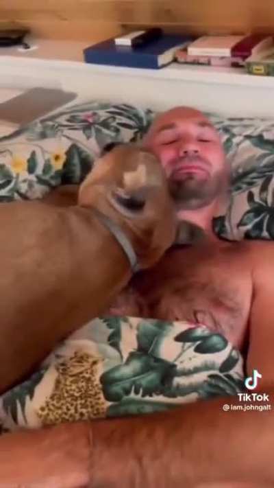 There are no cougars in the bedroom