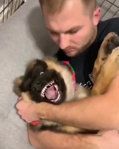 cRaZy mAn tAkEs DoG hOsTaGe !!