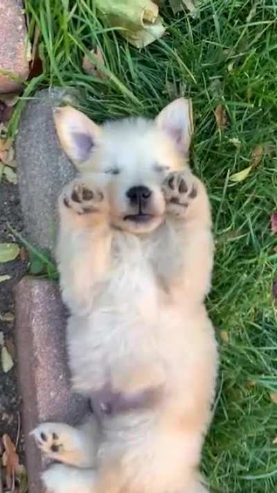 Growing up is exhausting