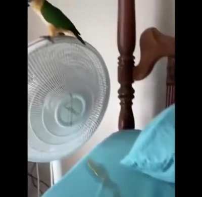 A mess on the bed.