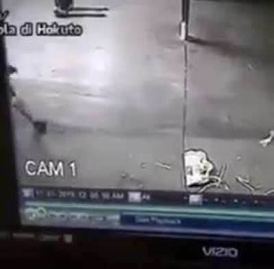 Ninja warrior