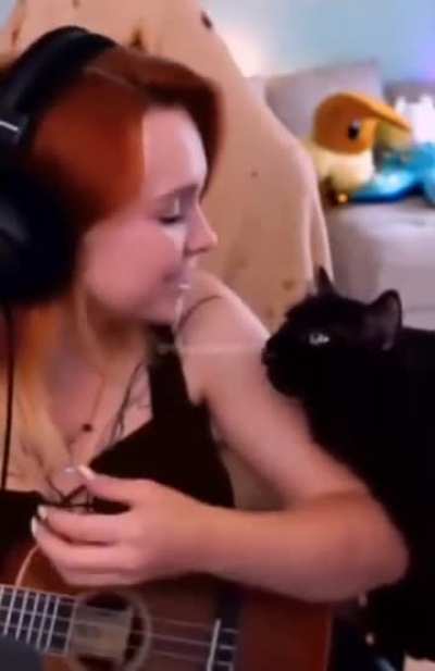 Gato negro <3