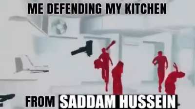 * Saddam attacks my kitchen *