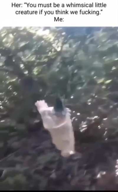 Me