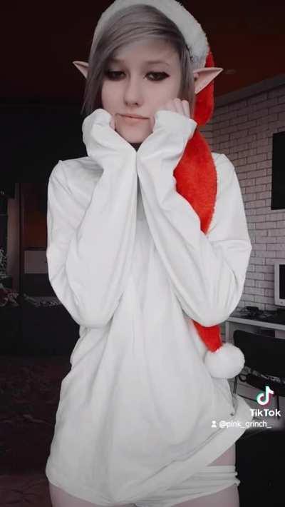 You've been good this year ... so santa decided to loan you his best elf!
