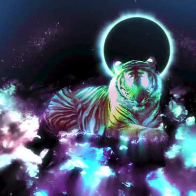 "Cosmic Tiger" - Looping Animation - Link in Comments!