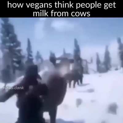 vegan teacher