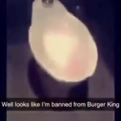 It wasn't me I swear