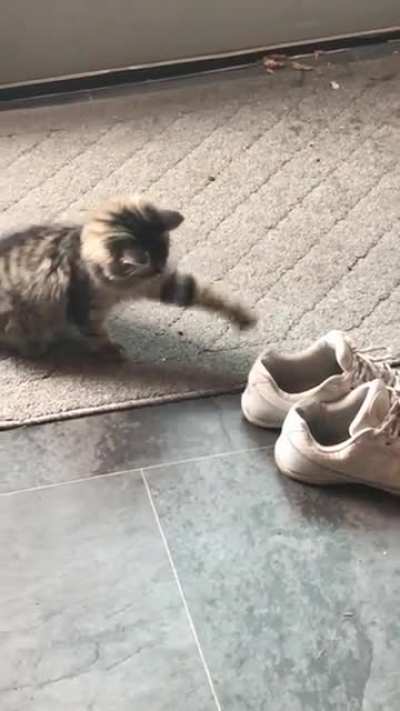 Shoes?