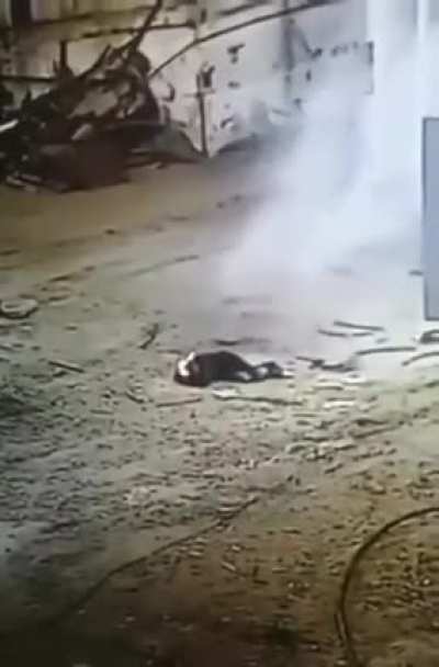 Живучий
