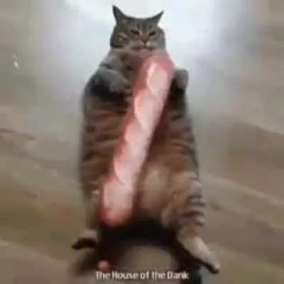 Mon baguette