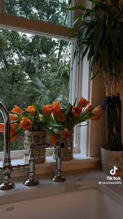 How your cut flowers stay fresh longer in the vase 🏺 🌹🌸🌺🌷🌻🌼💐