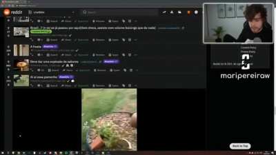 F Cellbit :(