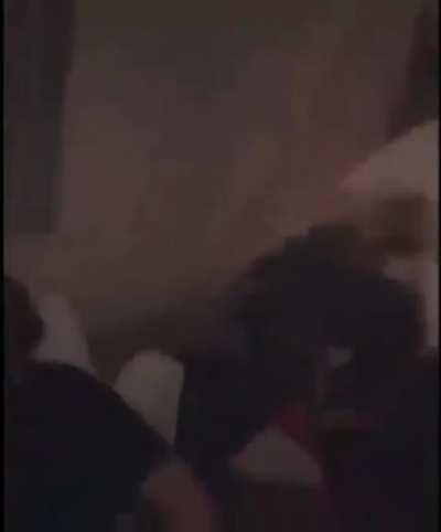 Bonk