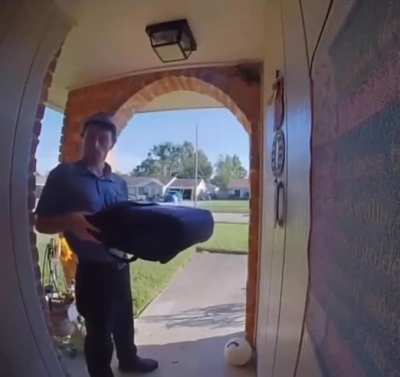 Poor delivery guy had no idea what was going on