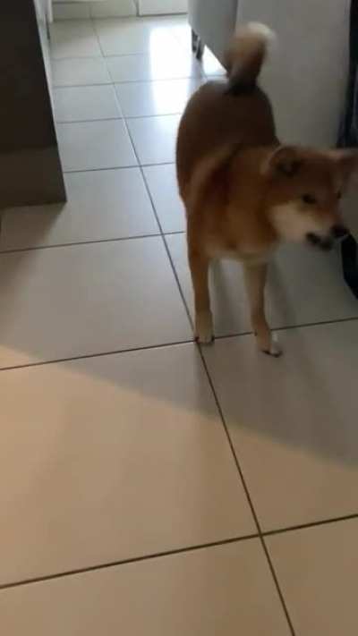 😍