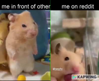 interesting title