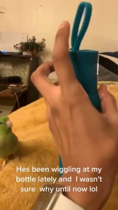 Wiggly birb
