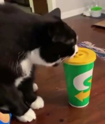 Did I do that..??