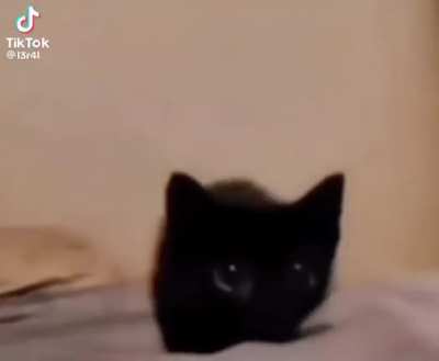 😭