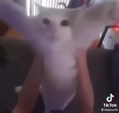 catJAM