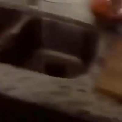 Don&rsquo;t yeet that egg