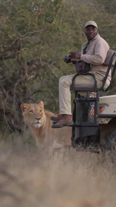 I definitely saw a lioness! Where the Hell did she go?! Oh s#*&Acirc;&yen;!